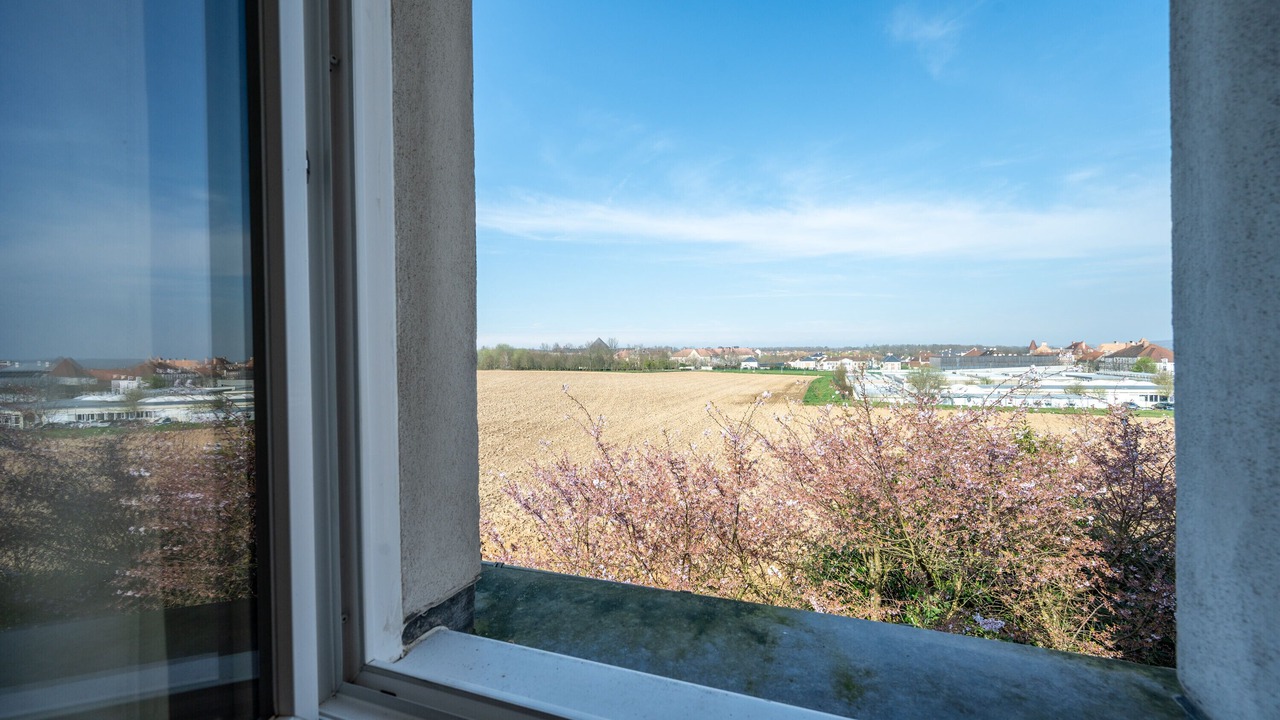 Photo of Others in Magny-le-Hongre