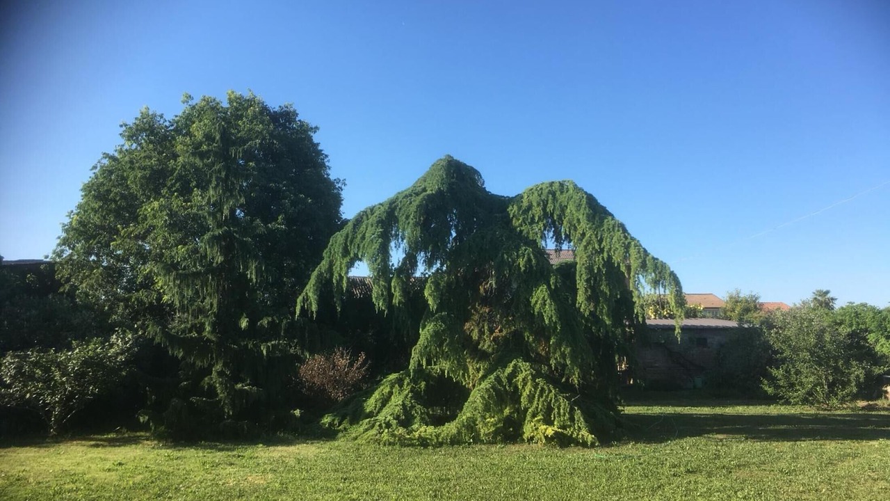Photo of Outdoor in Gazzo Veronese