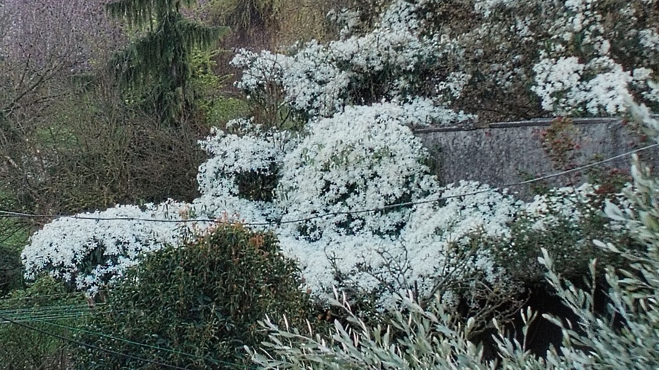 Photo of Outdoor in Gazzo Veronese