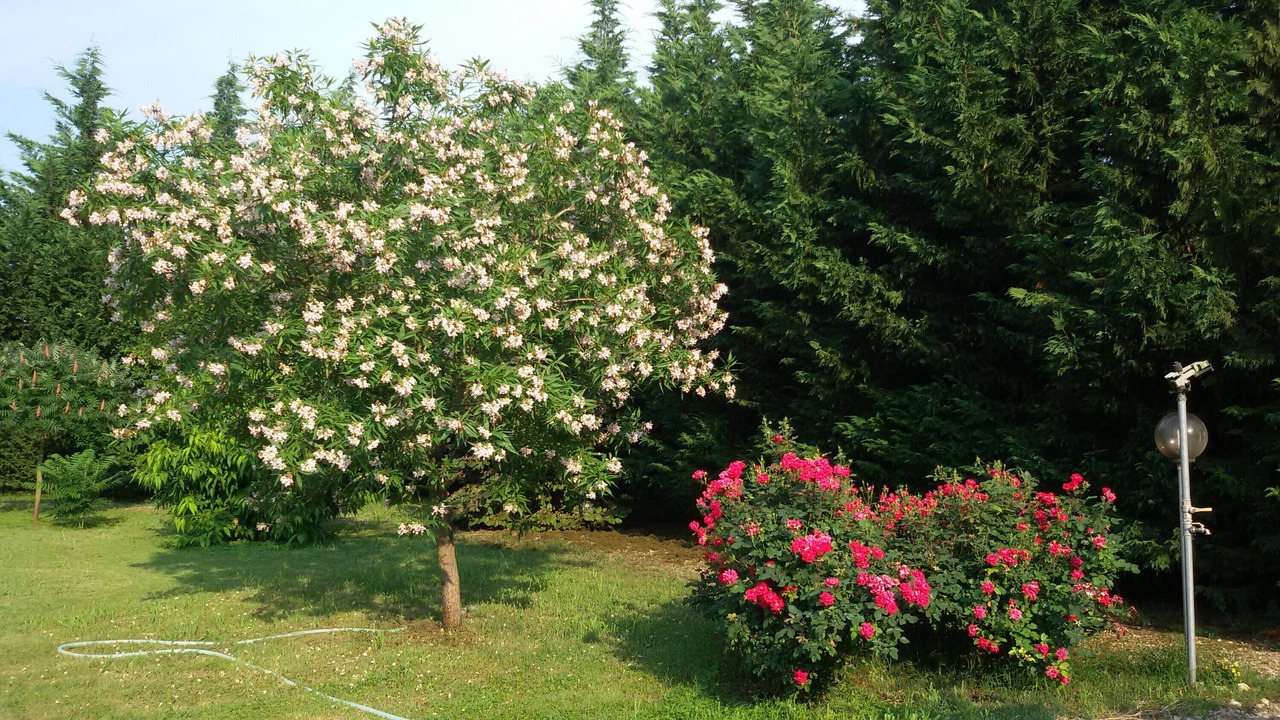 Photo of Outdoor in Gazzo Veronese