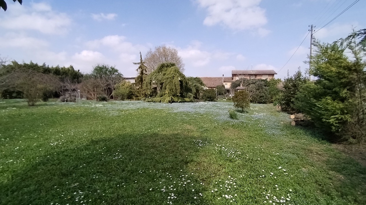 Photo of Outdoor in Gazzo Veronese
