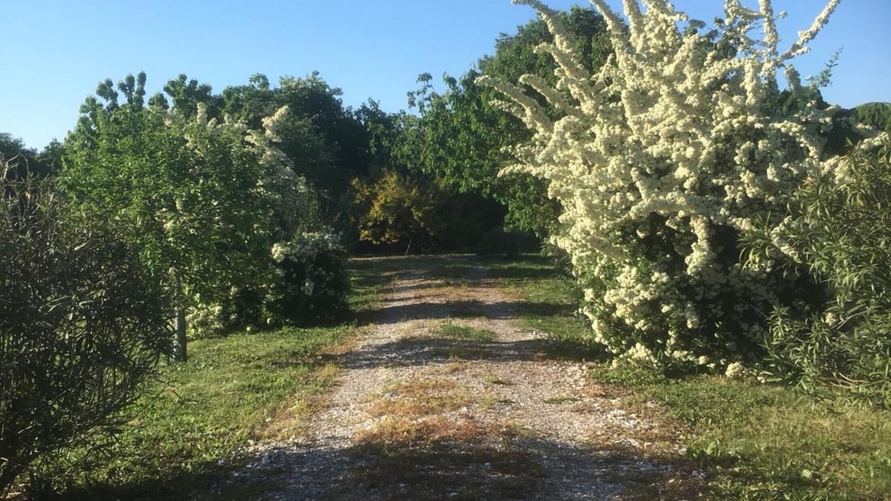 Photo of Outdoor in Gazzo Veronese