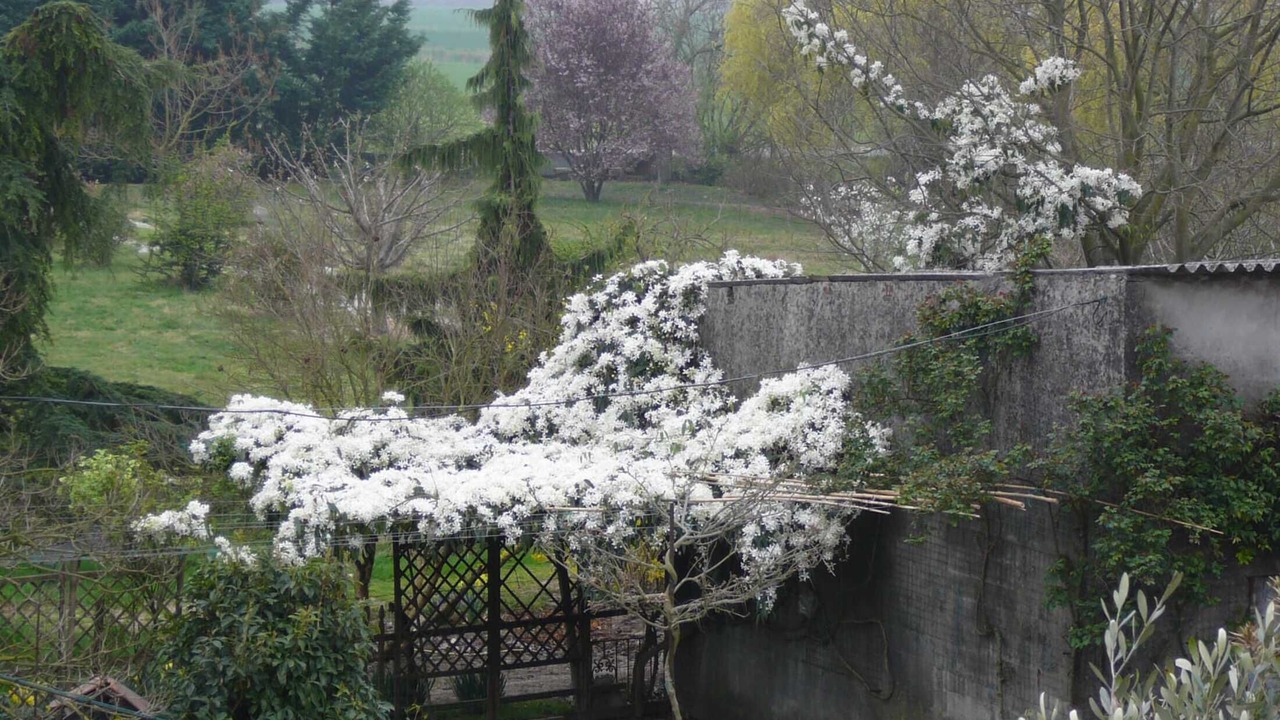 Photo of Outdoor in Gazzo Veronese