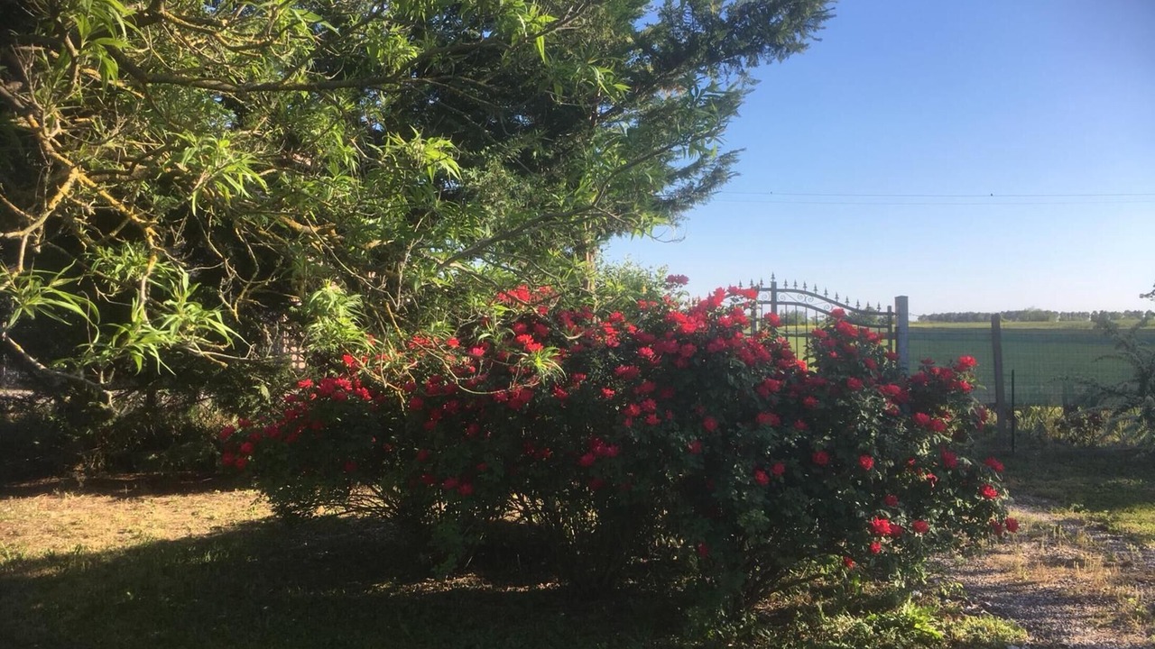 Photo of Outdoor in Gazzo Veronese