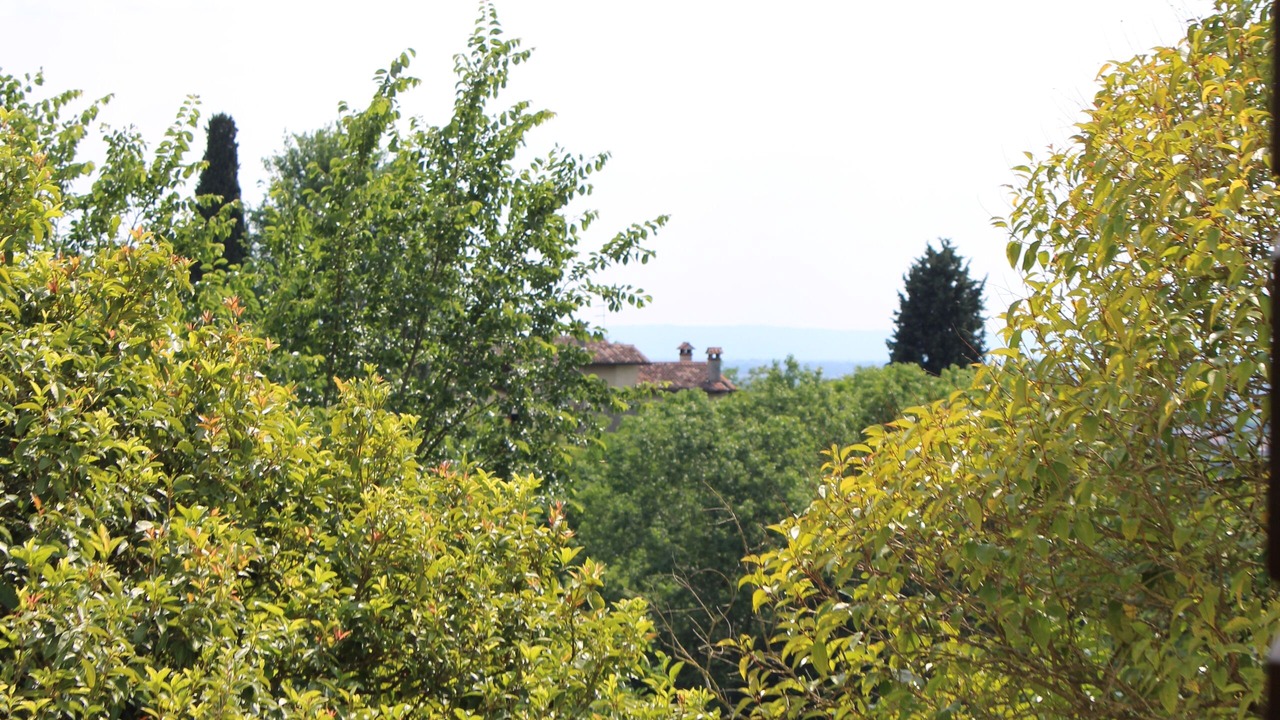 Photo of Others in Asolo