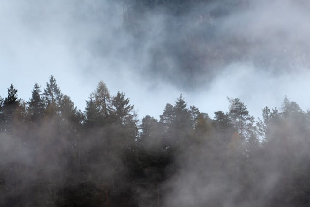 Photo of Outdoor in Pieve di Cadore