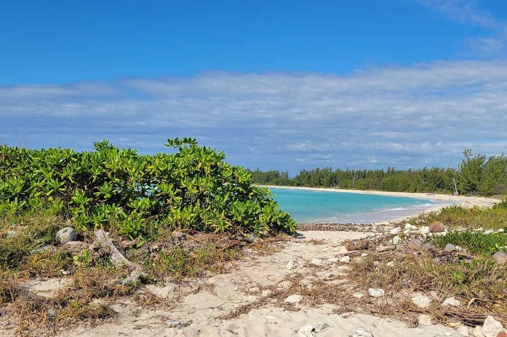 Photo of Others in Bahamia West