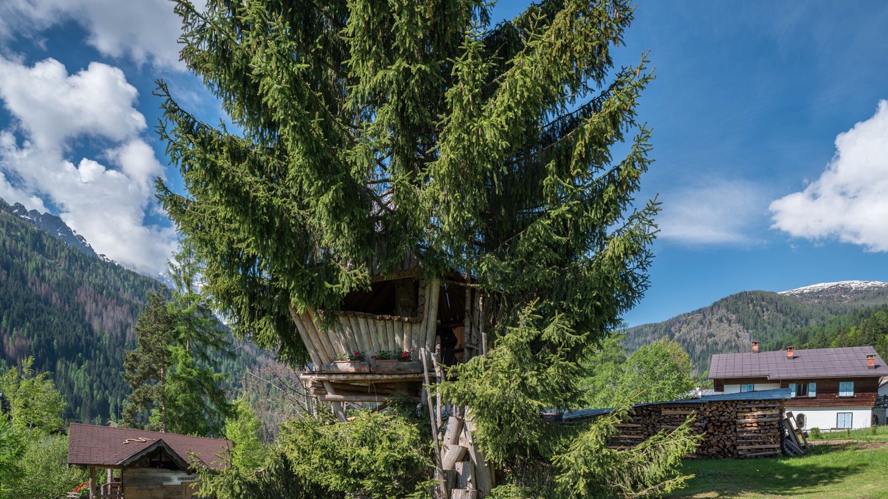 Photo of Outdoor in Pie Falcade