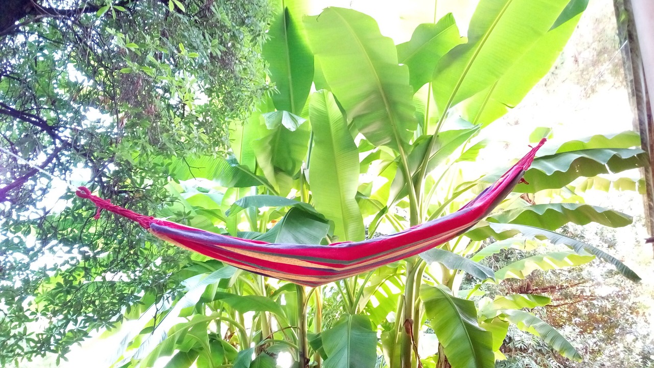 Photo of Outdoor in Farra di Soligo