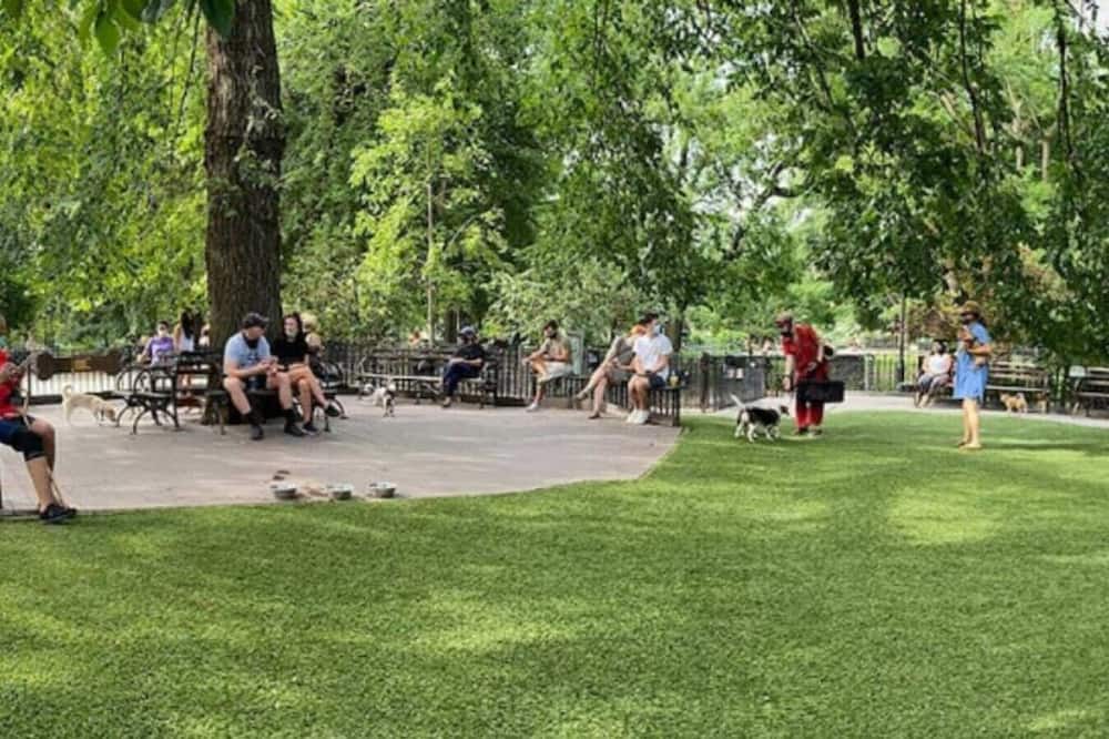 Photo of Others in Bedford-Stuyvesant