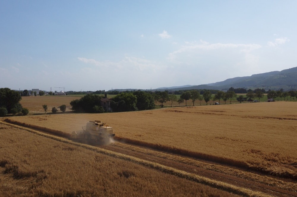Photo of Outdoor in Longare