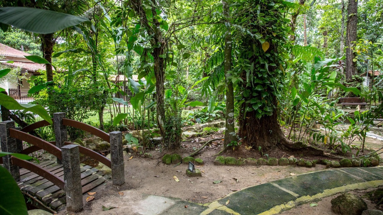 Photo of Outdoor in Guapimirim