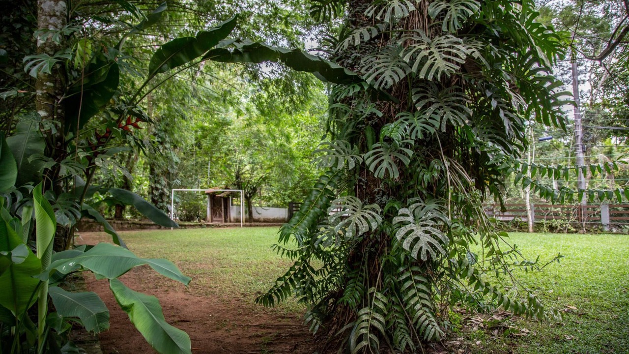 Photo of Outdoor in Guapimirim