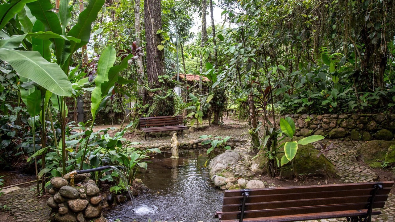 Photo of Outdoor in Guapimirim