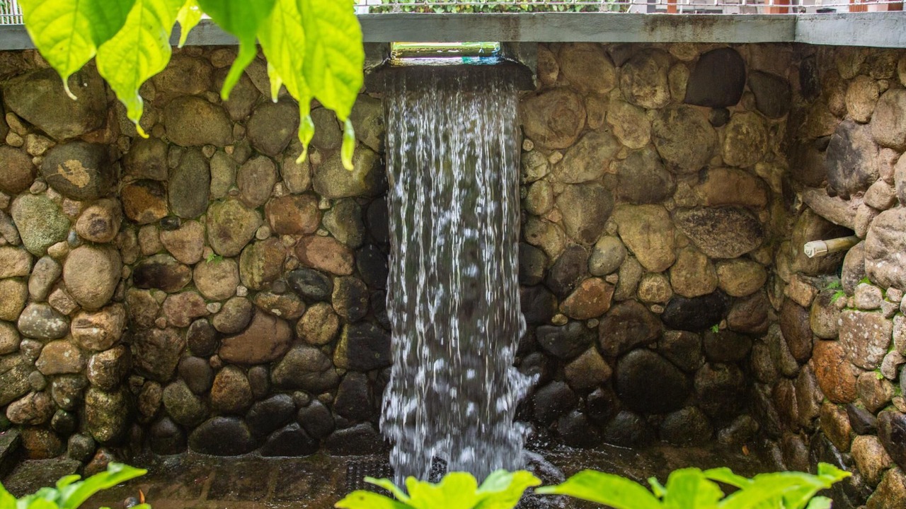 Photo of Others in Guapimirim