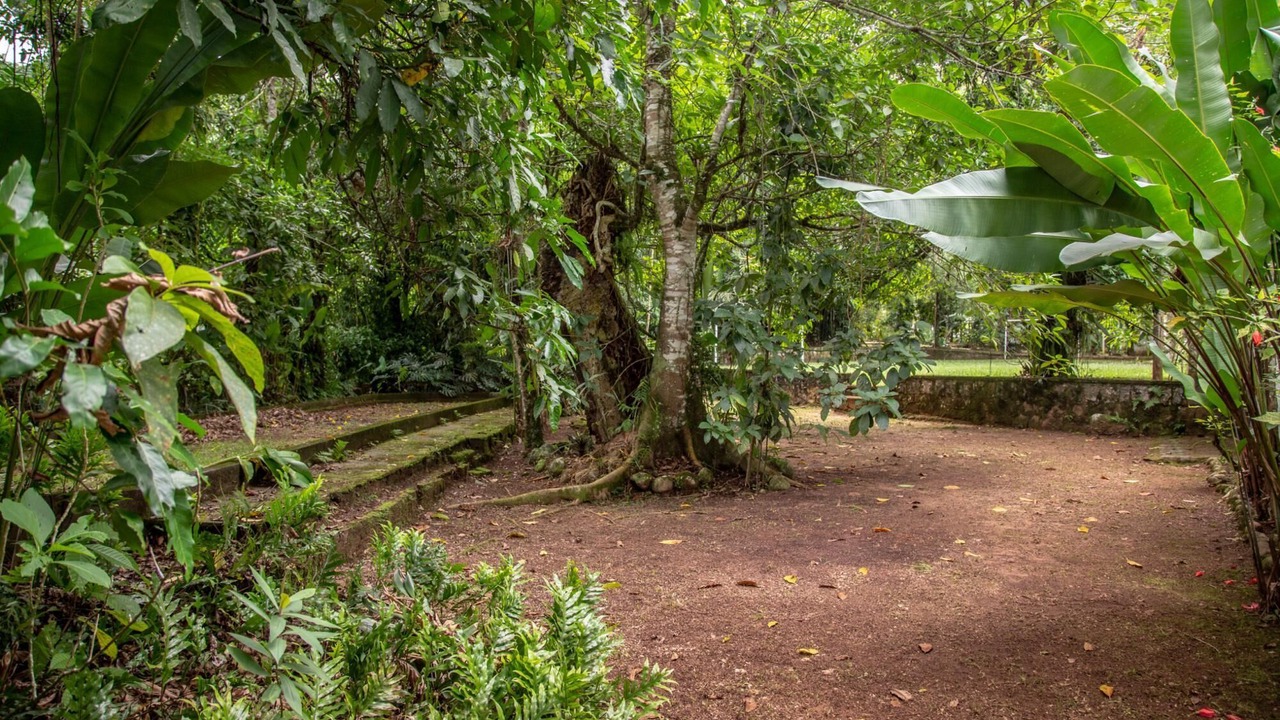 Photo of Outdoor in Guapimirim
