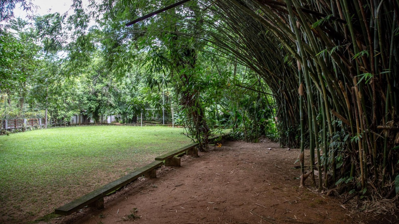 Photo of Outdoor in Guapimirim