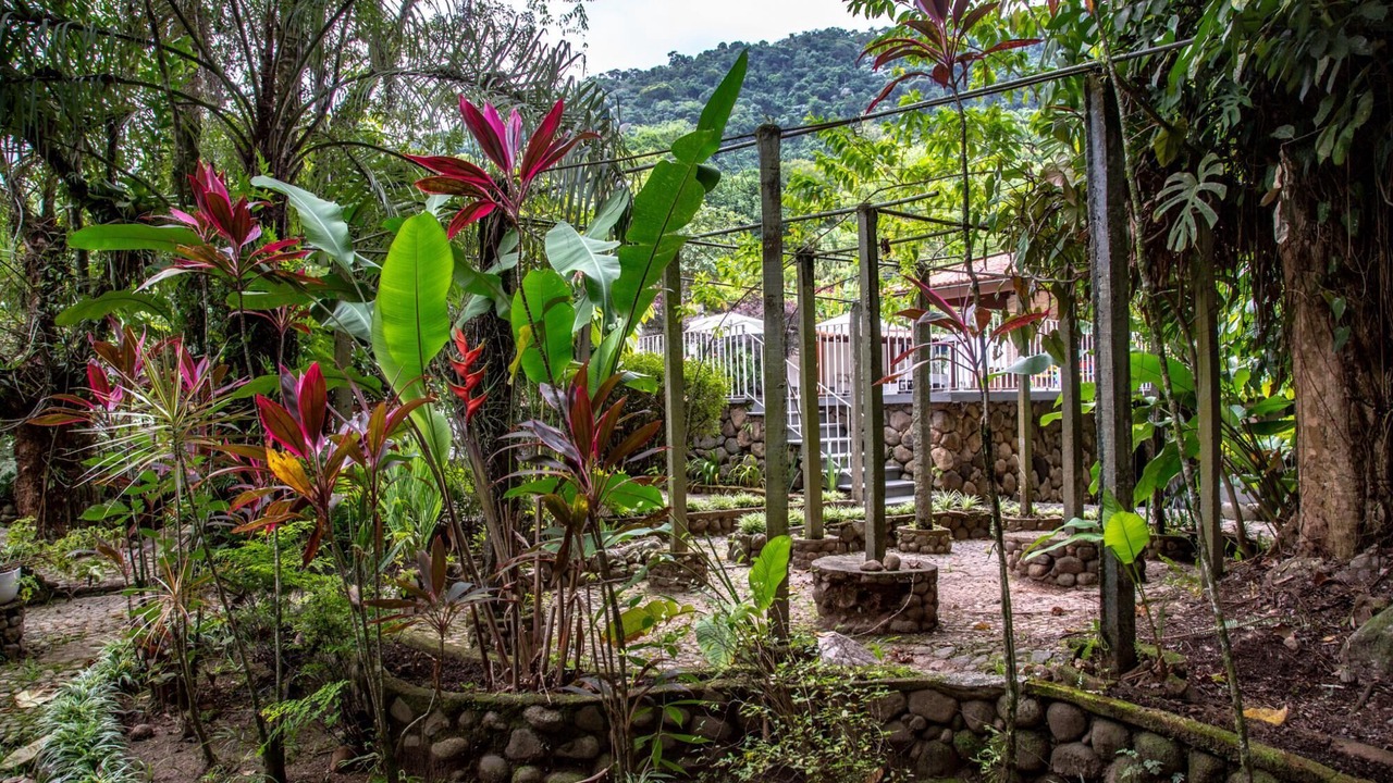 Photo of Outdoor in Guapimirim