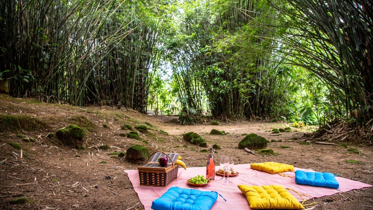 Photo of Outdoor in Guapimirim