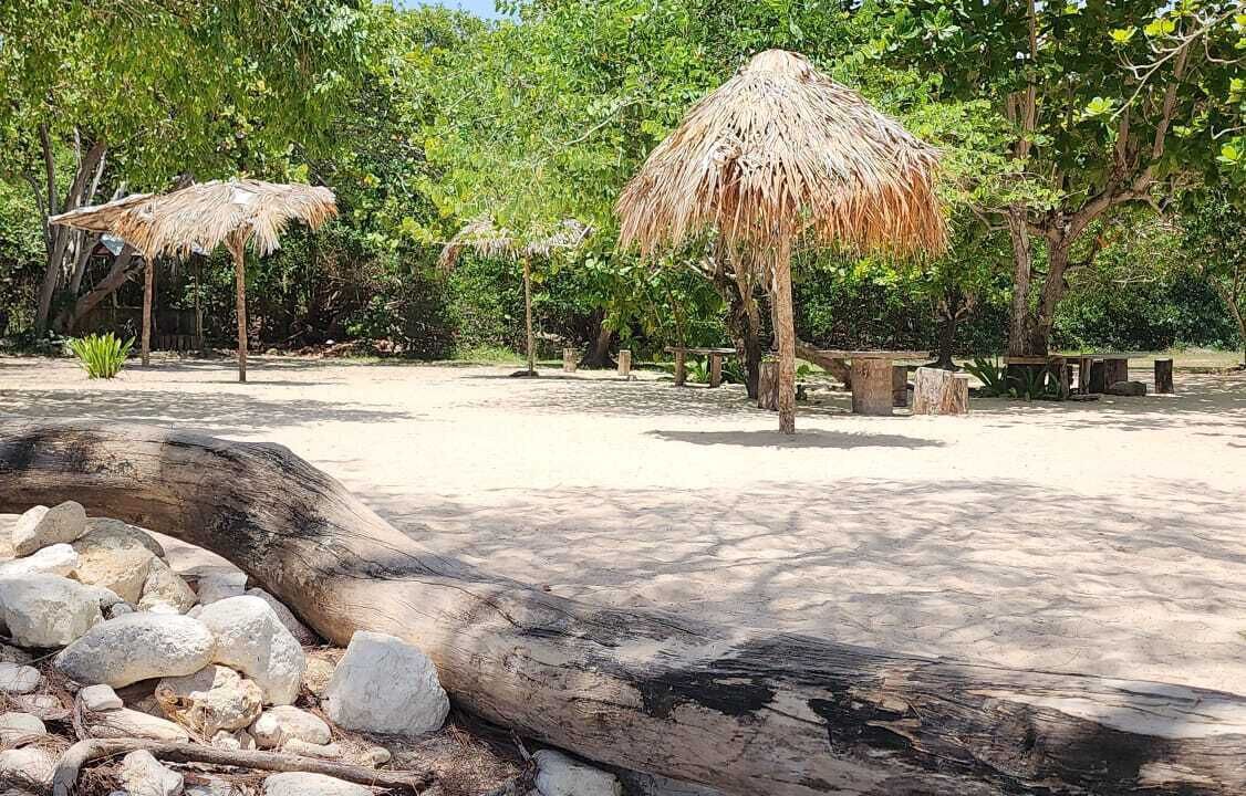 Photo of Others in Mammee Bay