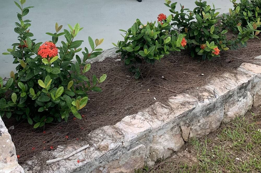 Photo of Patio Balcony in Tar Bay