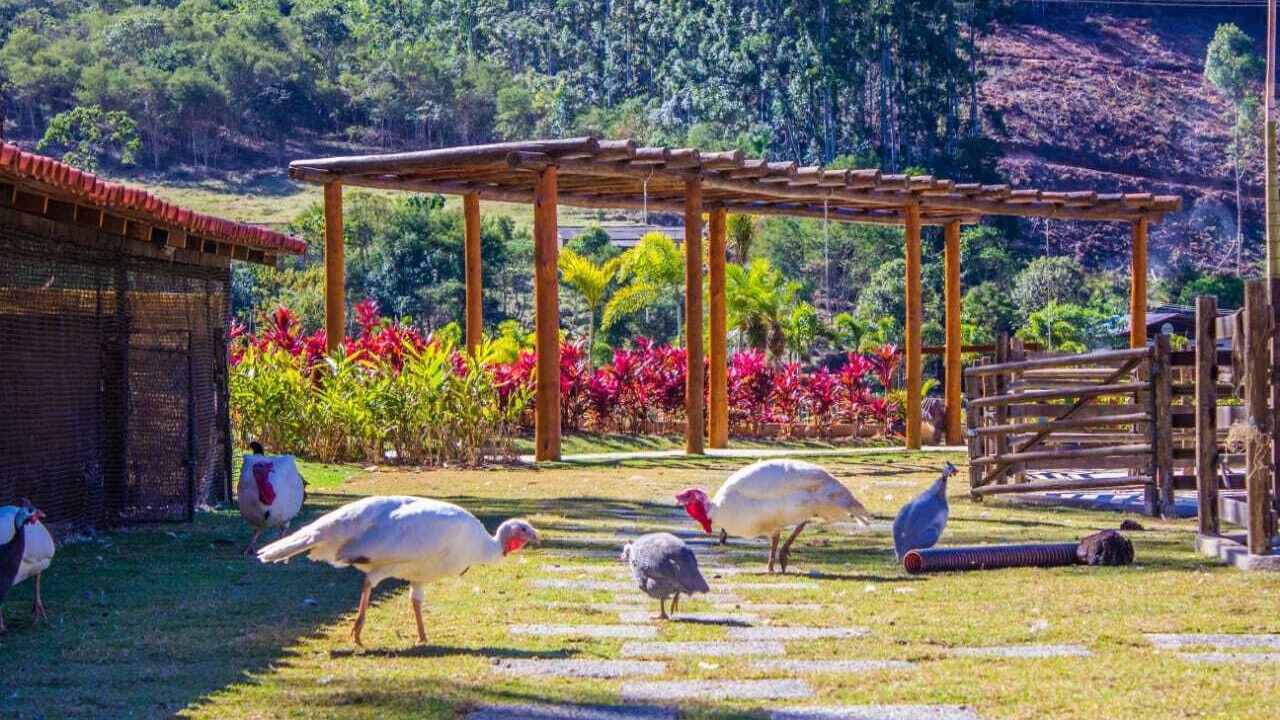 Photo of Outdoor in Teresopolis