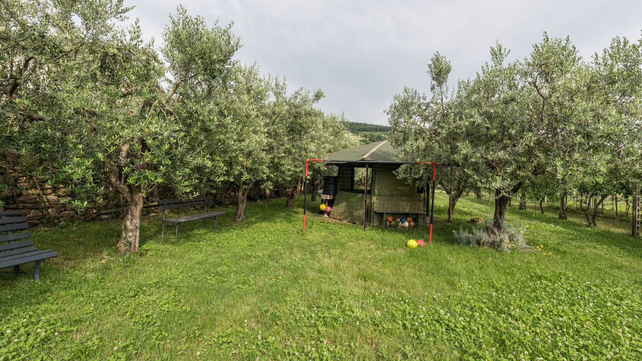 Photo of Others in Gargagnago di Valpolicella