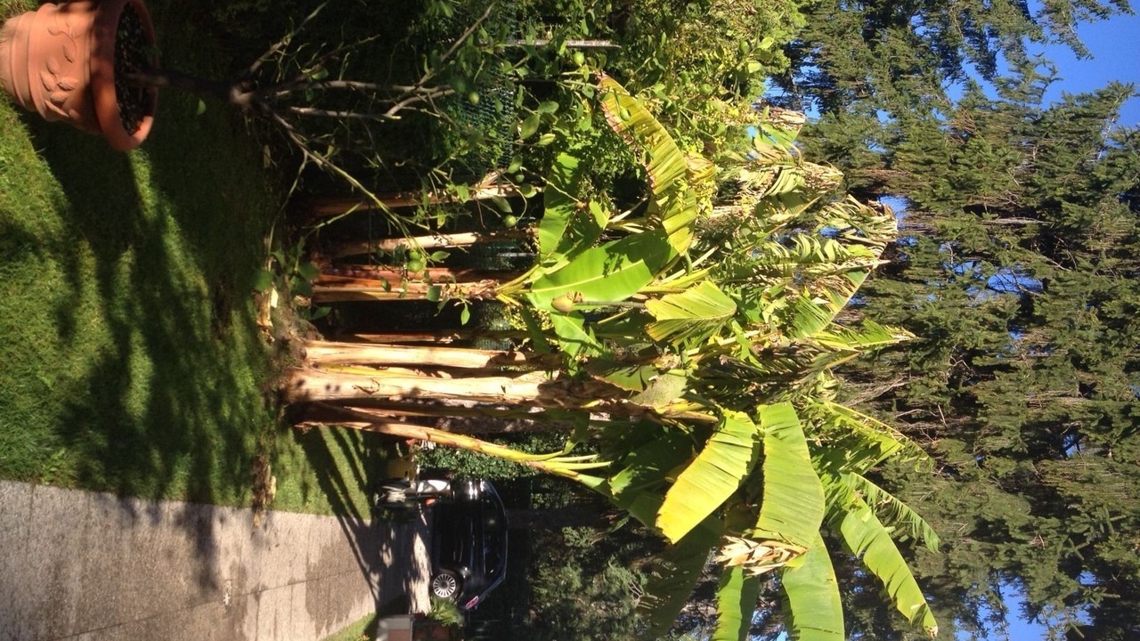 Photo of Outdoor in Santa Maria in Stelle
