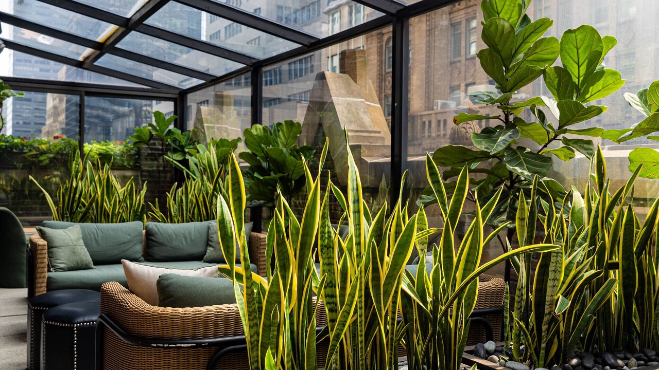 Photo of Outdoor in Midtown East