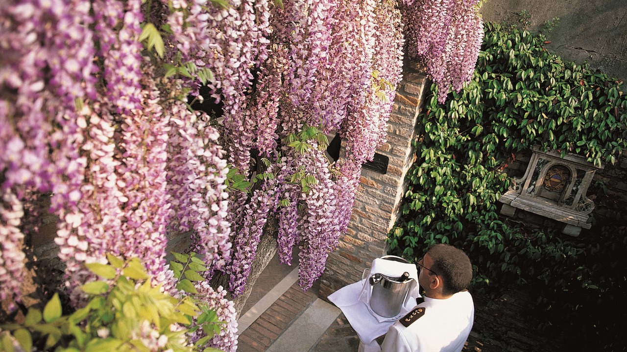Photo of Outdoor in Isola San Giorgio Maggiore