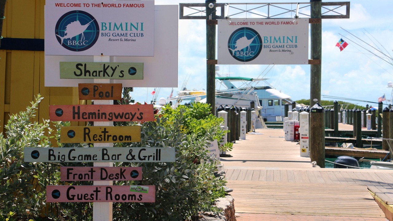 Photo of Outdoor in Alice Town