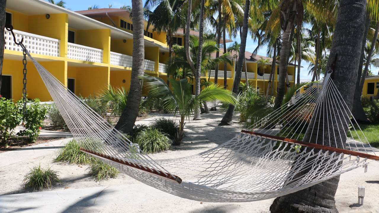 Photo of Outdoor in Alice Town