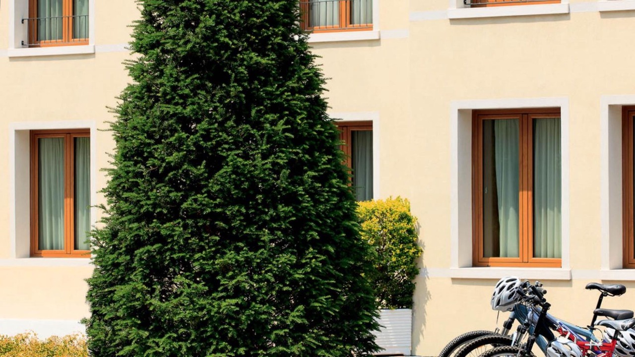 Photo of Outdoor in Silea