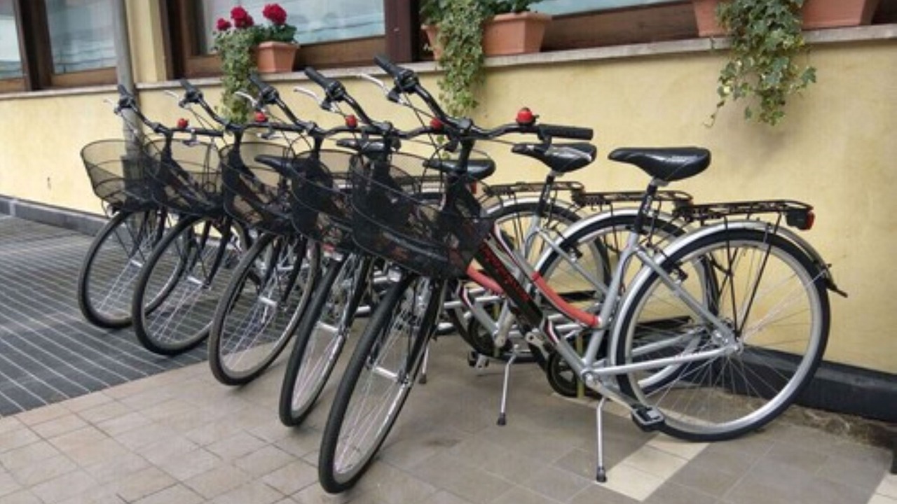 Photo of Outdoor in Castelfranco Veneto