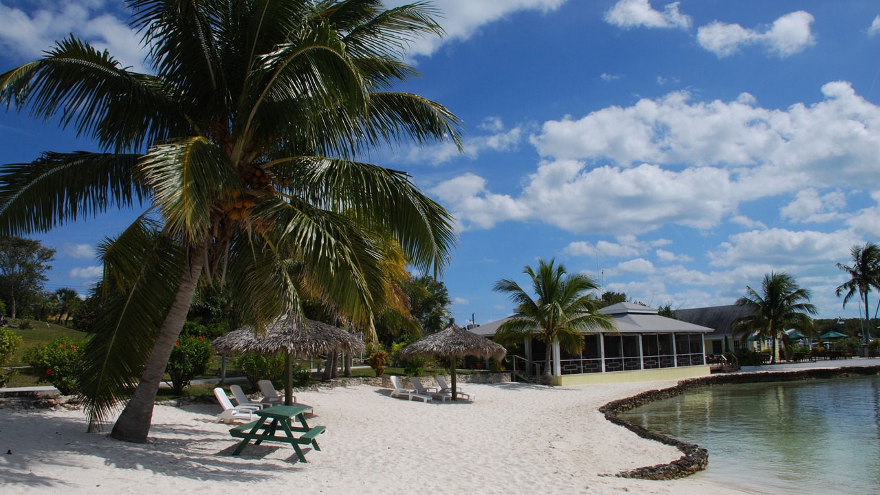 Photo of Others in Green Turtle Cay