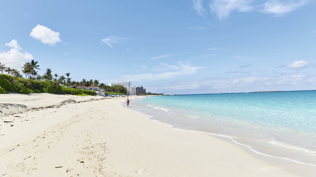 Photo of Others in Paradise Island