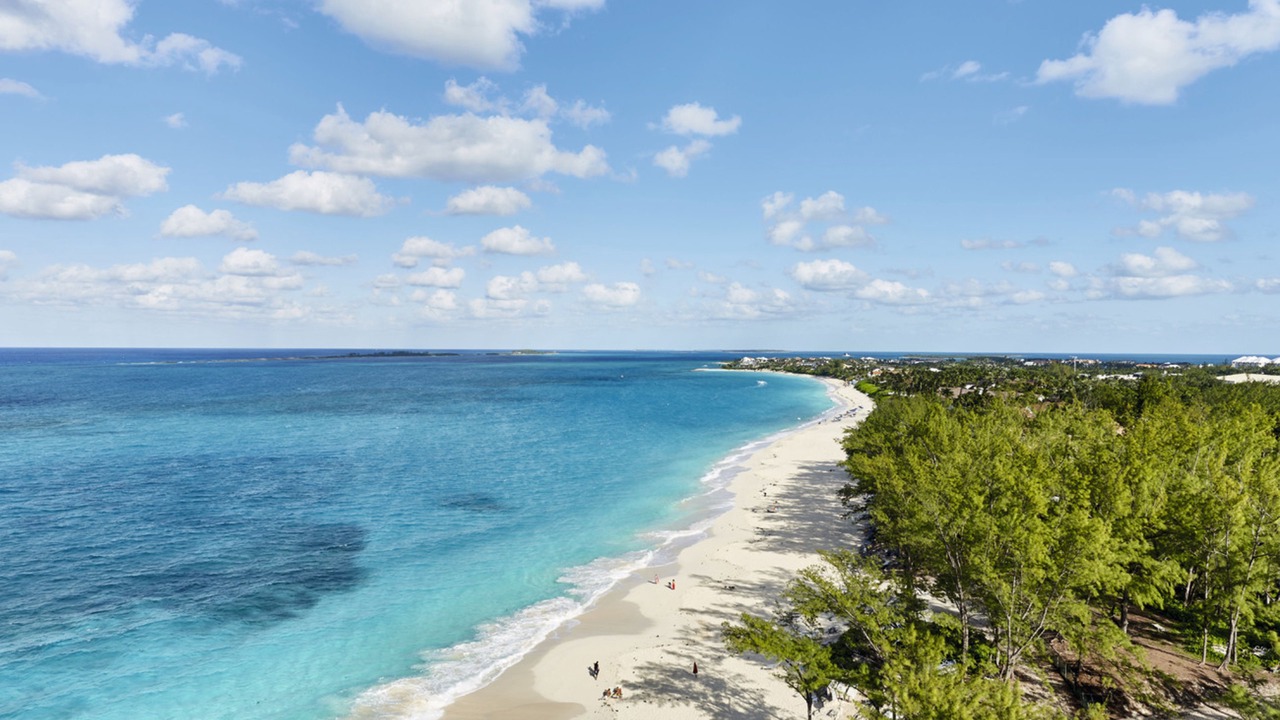 Photo of Others in Paradise Island