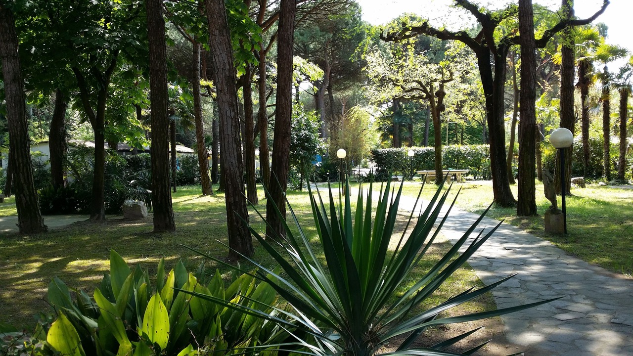 Photo of Outdoor in Ca' Savio