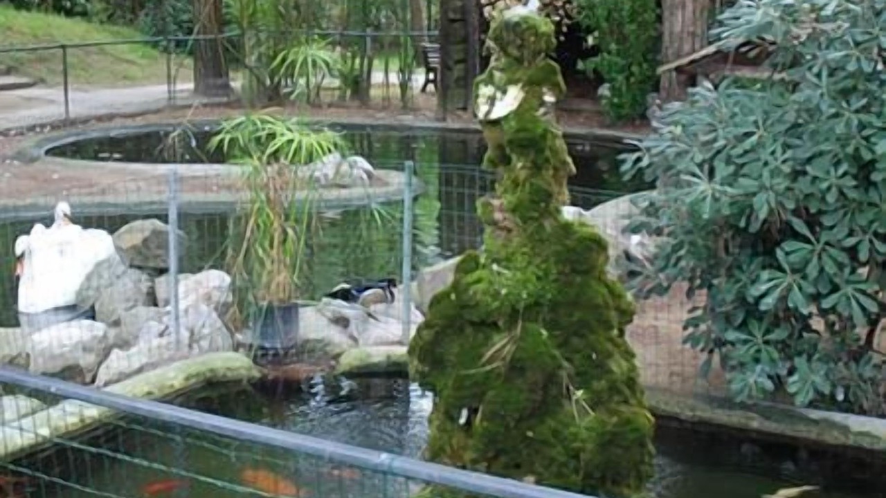 Photo of Outdoor in Ca' Savio