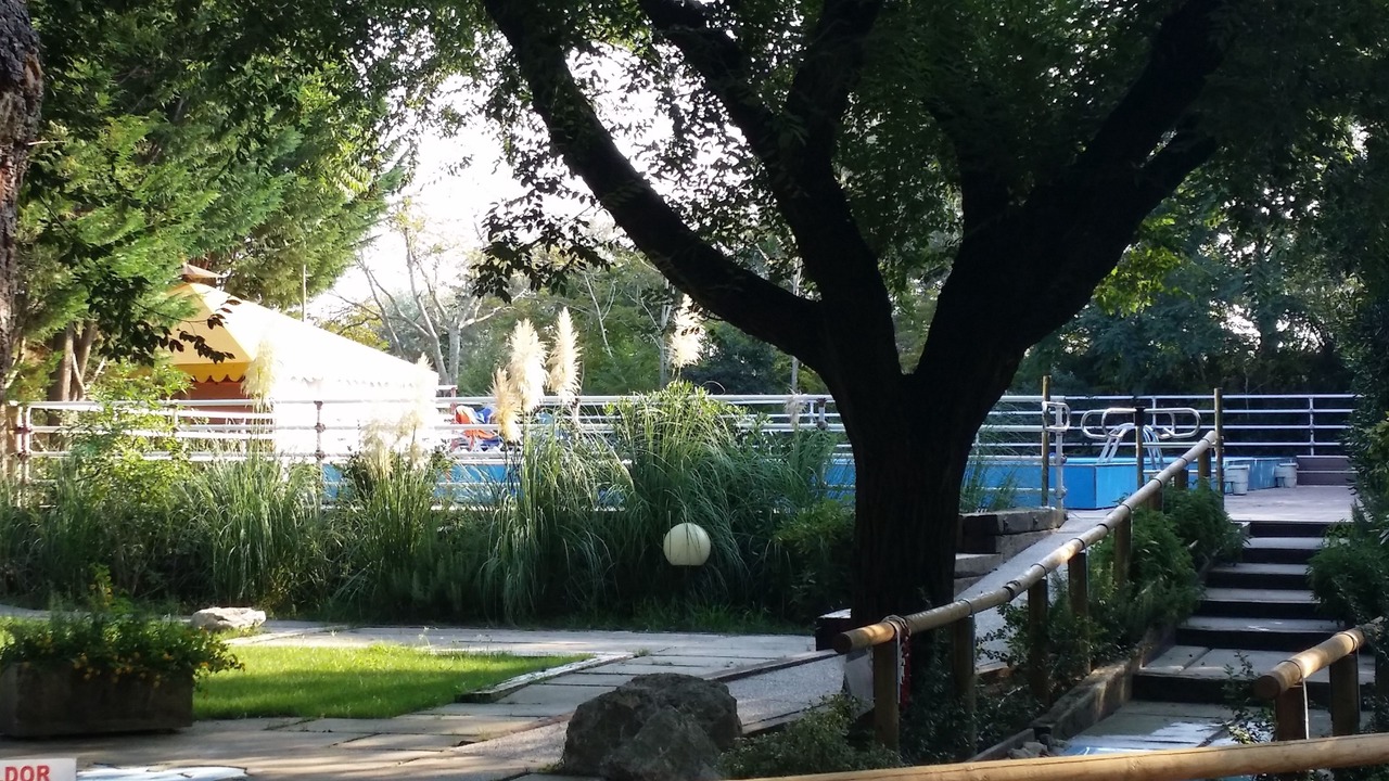 Photo of Outdoor in Ca' Savio