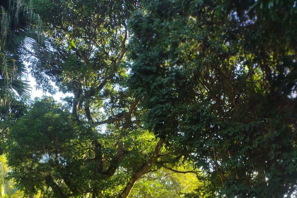 Photo of Outdoor in Sana
