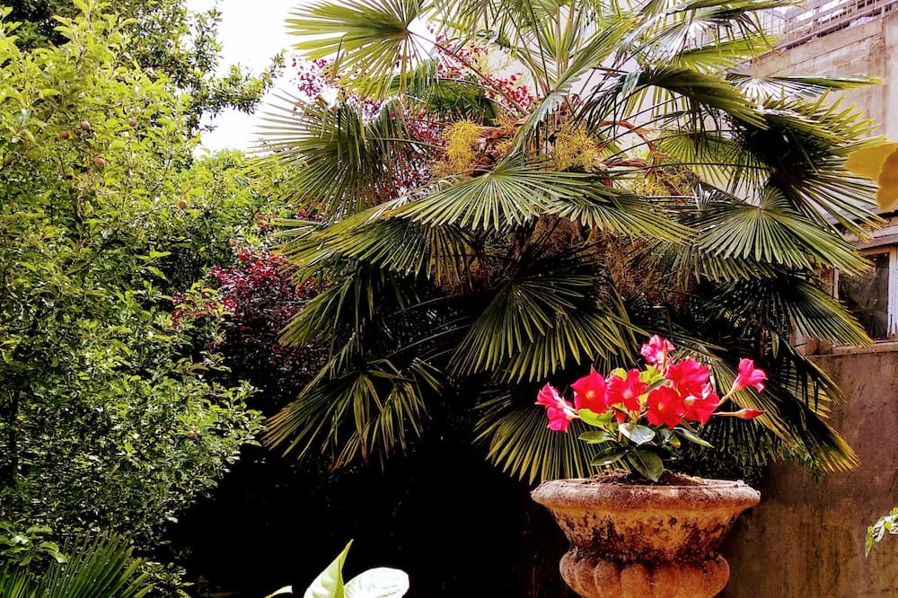 Photo of Outdoor in Alfortville