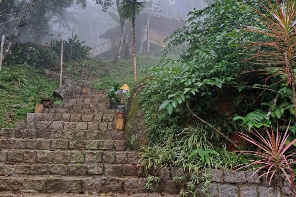 Photo of Outdoor in Trindade