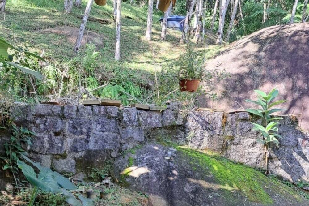 Photo of Outdoor in Trindade