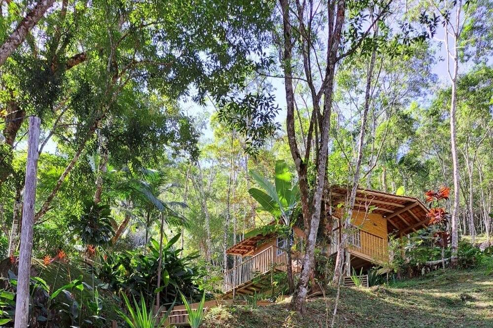 Photo of Outdoor in Trindade