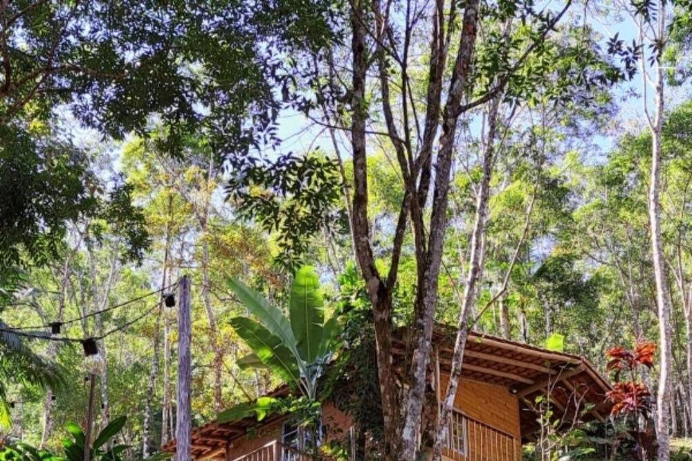 Photo of Outdoor in Trindade