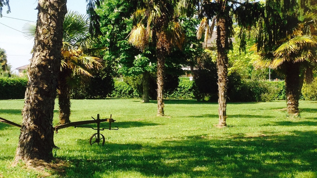 Photo of Outdoor in Ca' Pirami