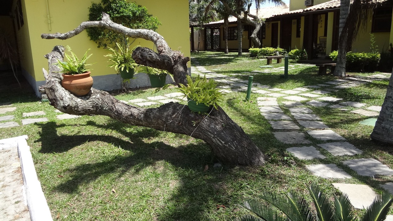 Photo of Outdoor in Bosque de Geriba