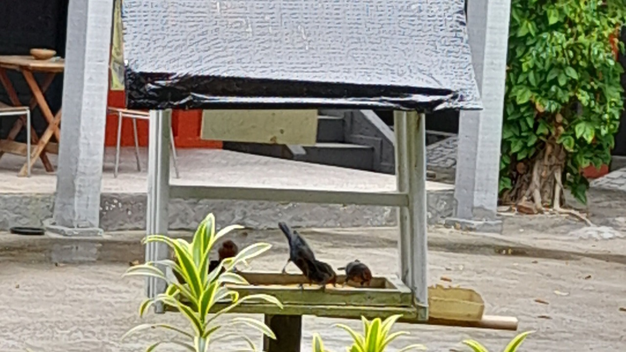 Photo of Outdoor in Tucuns