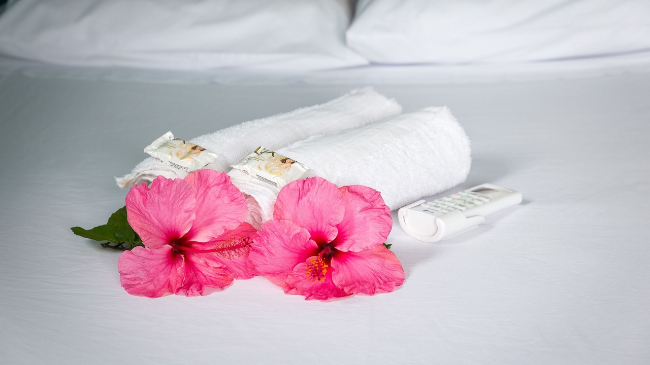 Photo of Bedroom in Pontal